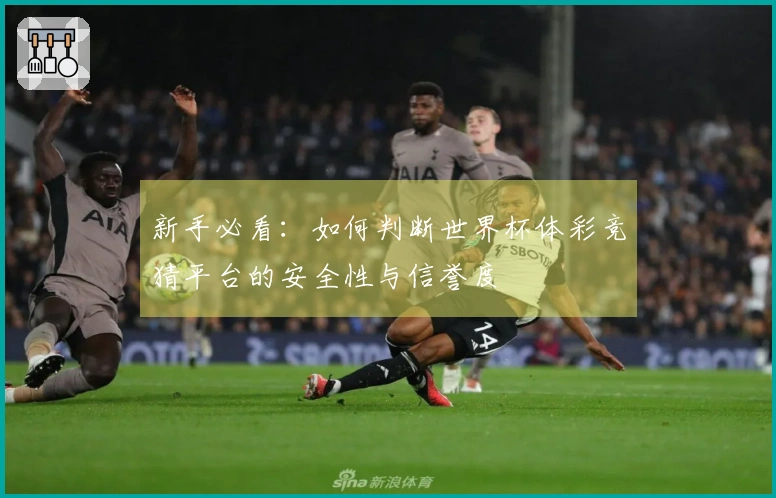 新手必看：如何判断世界杯体彩竞猜平台的安全性与信誉度