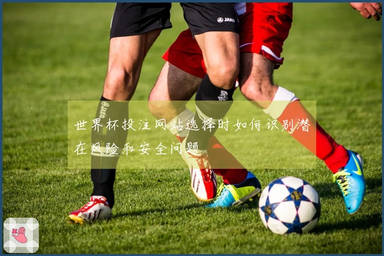 世界杯投注网站选择时如何识别潜在风险和安全问题