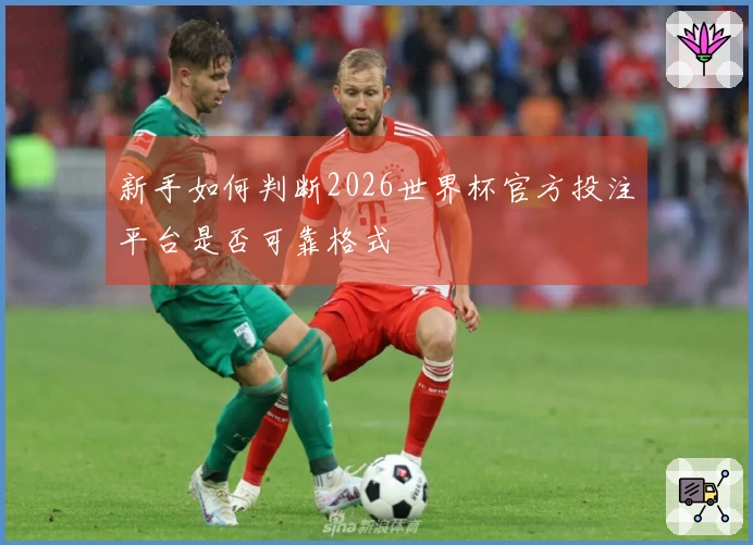 新手如何判断2026世界杯官方投注平台是否可靠格式
