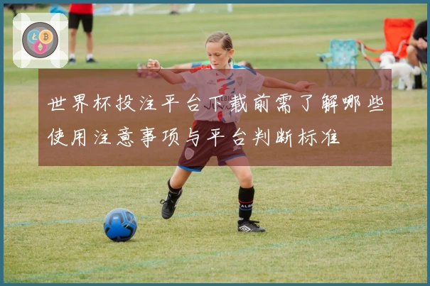 世界杯投注平台下载前需了解哪些使用注意事项与平台判断标准