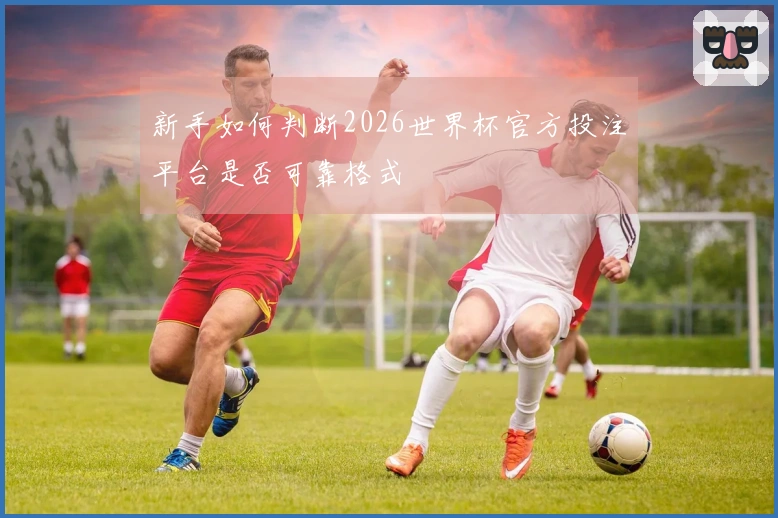 新手如何判断2026世界杯官方投注平台是否可靠格式