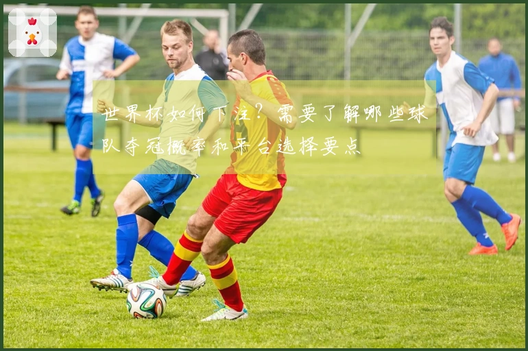 世界杯如何下注？需要了解哪些球队夺冠概率和平台选择要点